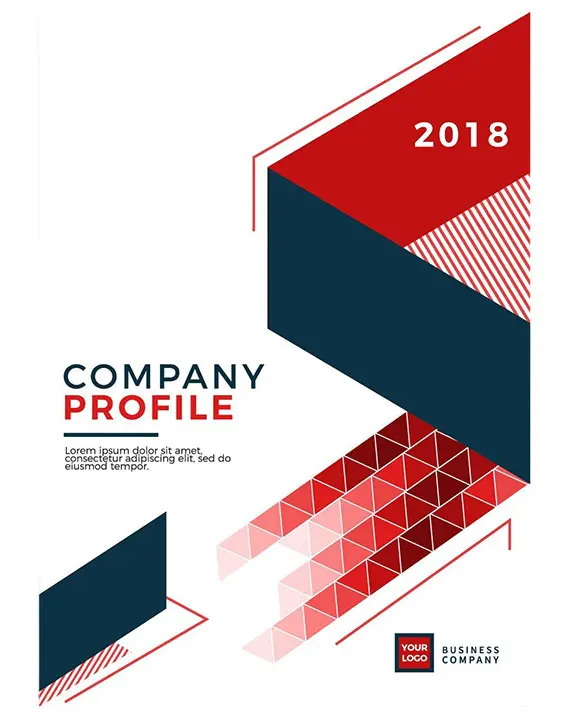 Company Profile
